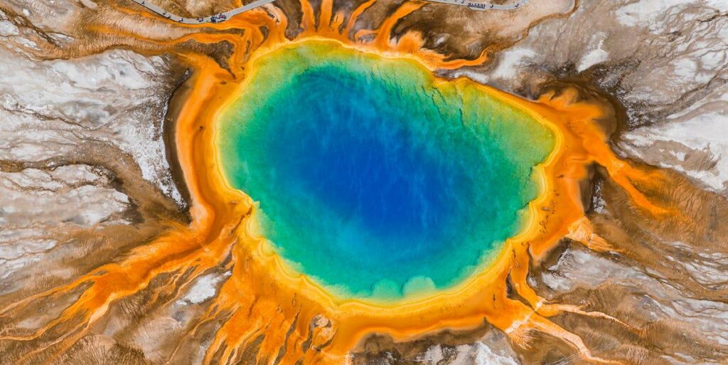 Scientists Think Earth’s Most Extreme Beings Can Help Save Human Lives: A new review study explains that extremophiles have revolutionized medicine, and are invaluable allies in the fight against climate change.