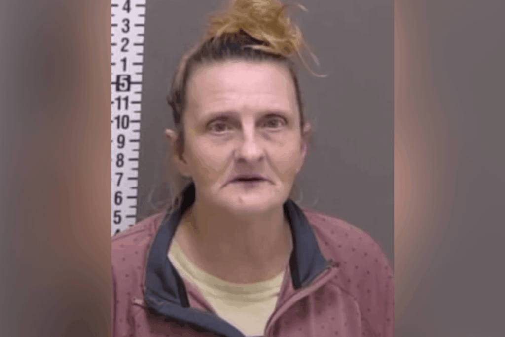 50-year-old lady, in prison for an AI error - A reminder of how precious a guarantee system like the Italian one is, which boasts the lowest statistics for unjust precautionary custody