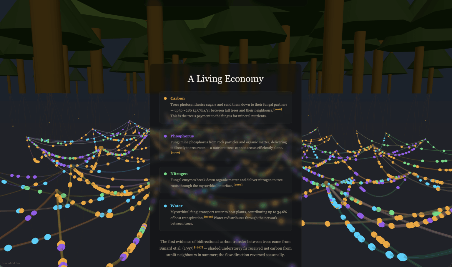 [OC] I visualised a real underground fungal network connecting 67 trees in a forest — the "Wood Wide Web"