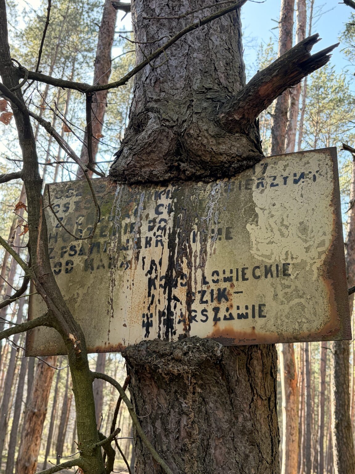 What does the sign say? Found in forest near Warsaw