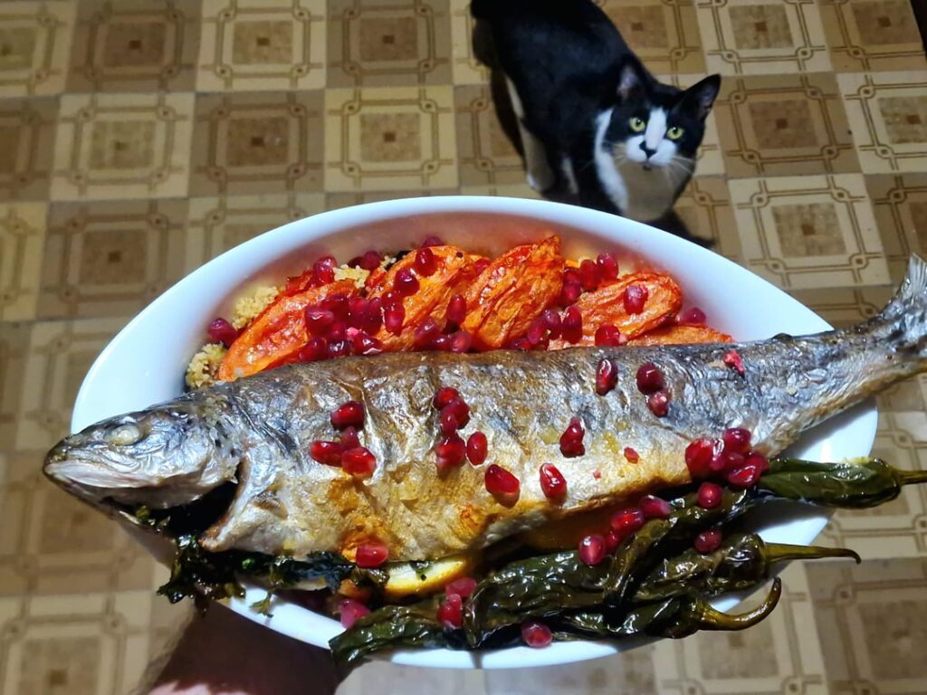 Georgian Trout is delicious...Bob the cat approved too.