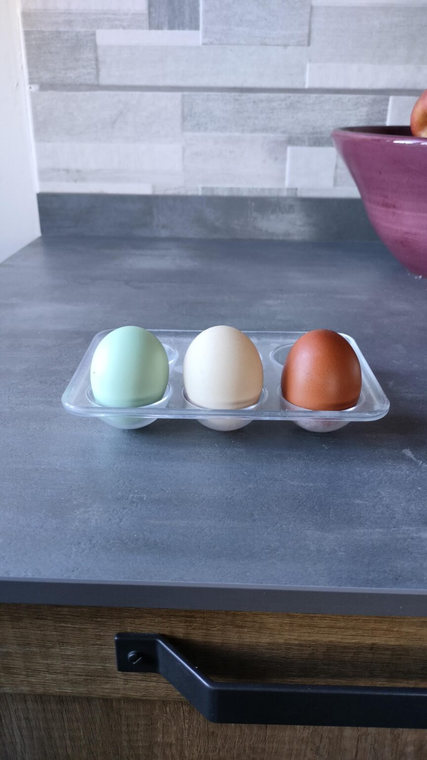 My mother-in-law's eggs have the colors of the Italian flag