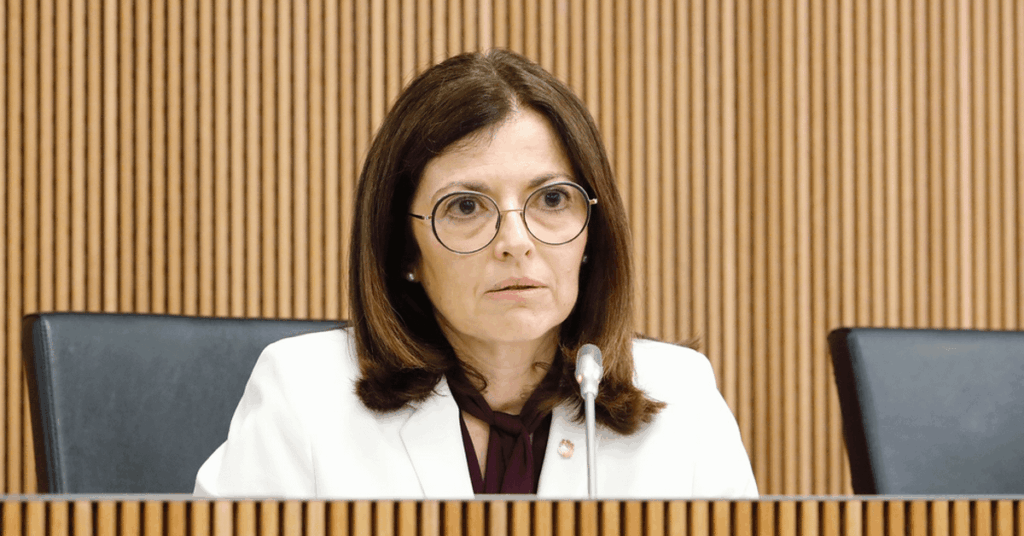 Exteriors sets the war in Ukraine as the turning point for Andorra's new international positioning