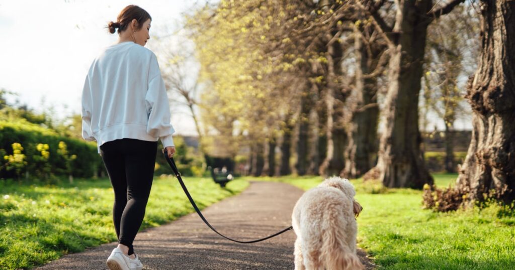 30-Day Strength and Stretch Workout for Walkers, Plus Nutrition Tips