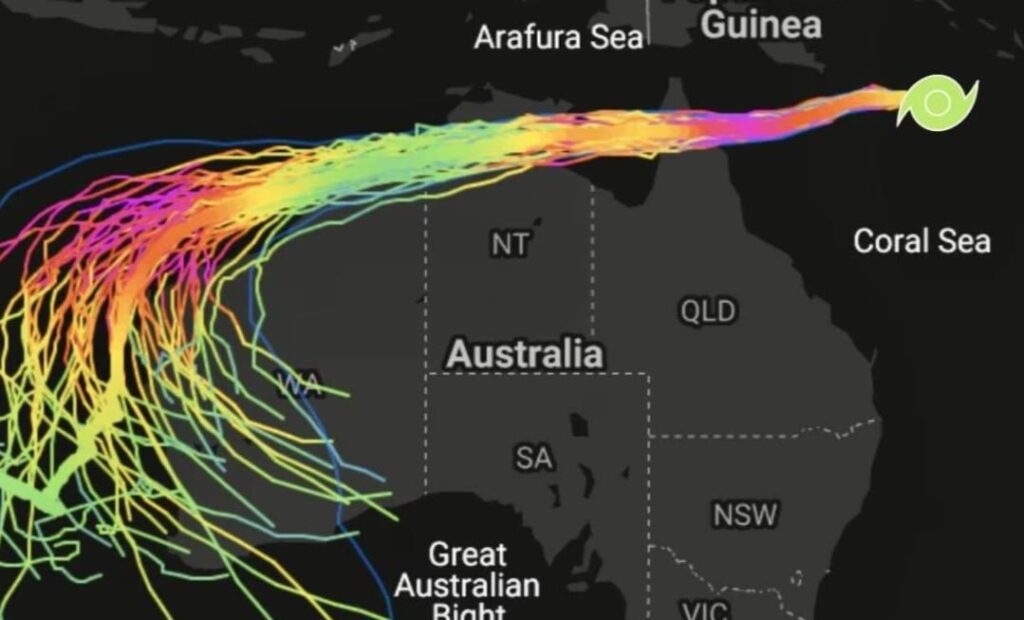 Who else is preparing for the cat 5 cyclone?