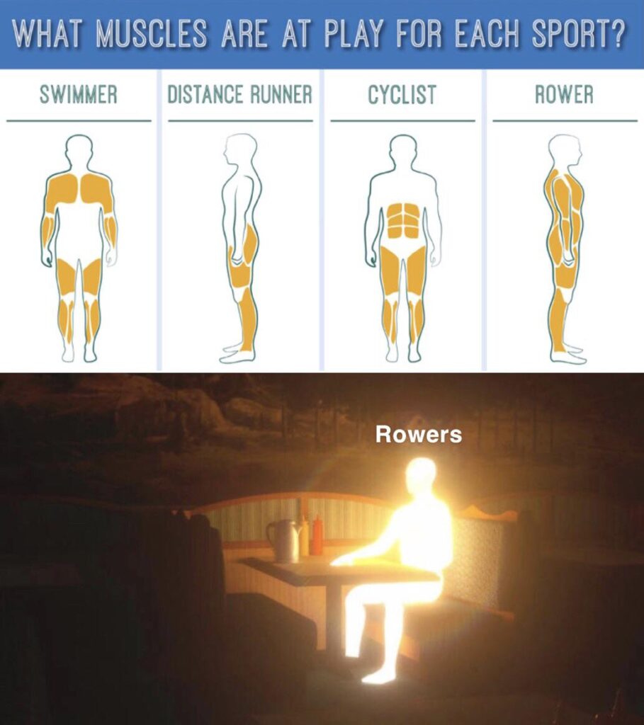 Rowing machine at the gym - how to start?