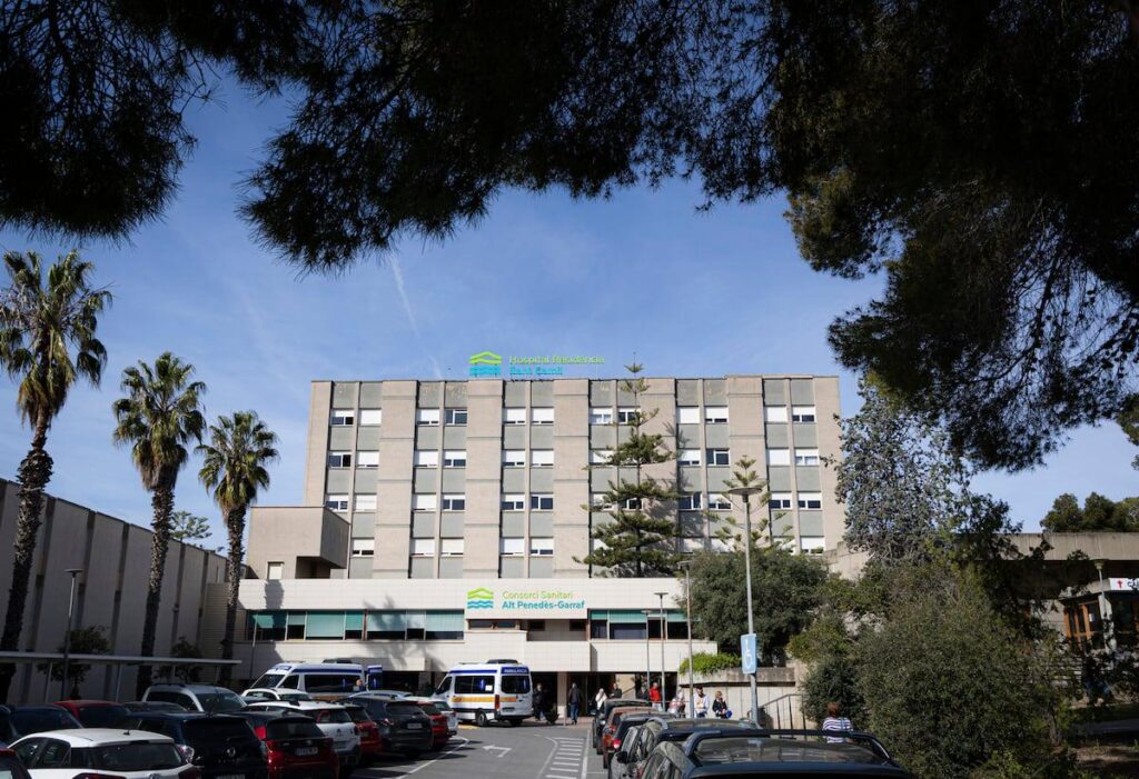 The hoaxes about Noelia Castillo: from the rape of 'menas' to “euthanasia due to depression” | Society | THE COUNTRY