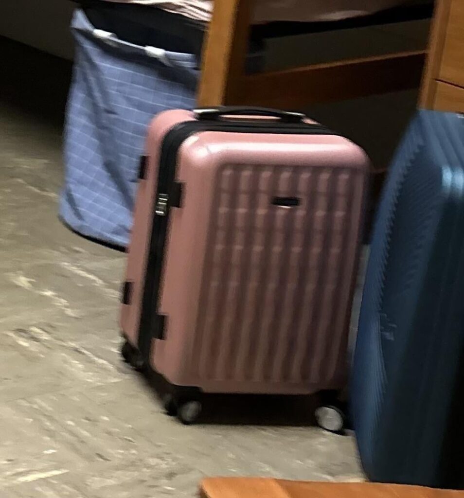 PINK LUGGAGE TAKEN ON TRAIN TODAY FROM STOCKHOLM TO MALMO PINK LUGGAGE TAKEN ON TRAIN TODAY FROM STOCKHOLM TO MALMO