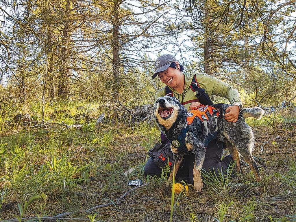 Go rogue with science