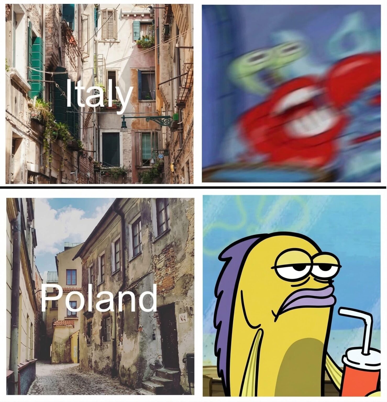 True