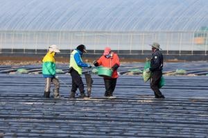 Immigrants swoop rural county out of population collapse