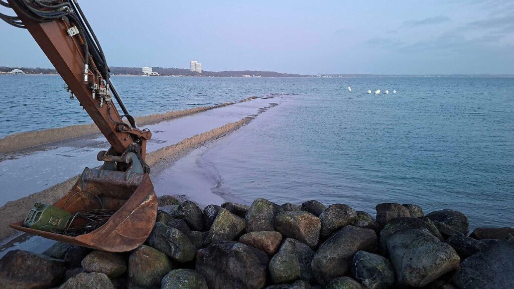 Baltic Sea: Stranded humpback whale is probably free