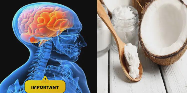 Healthy Living Clinical Trials Confirm: Coconut Oil Boosts Brain Fuel, Revives Lost Recall. Coconut oil has long been praised for its versatility in cooking, skincare, and natural remedies. But recent buzz has shifted toward its potential cognitive benefits, especially for brain health.