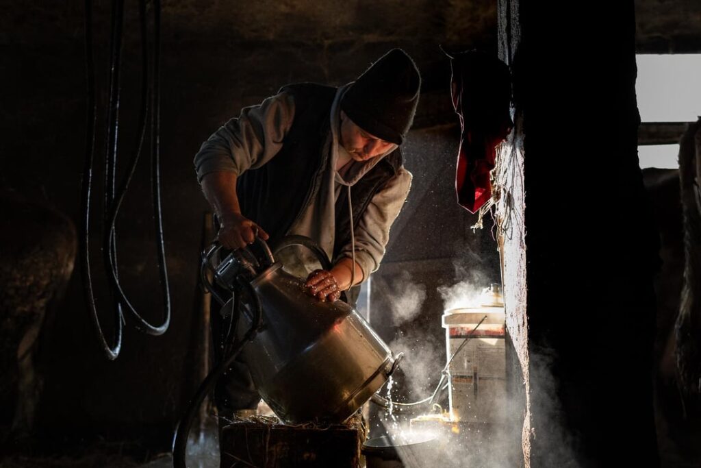 Zlatko was arrested, but some heroes continue his fight.