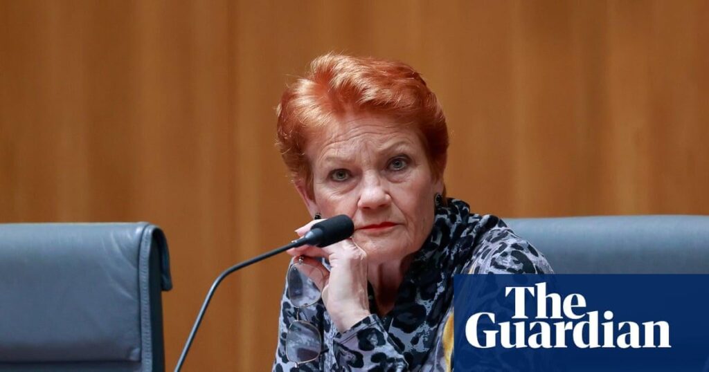 Pauline Hanson secured government solar rebate despite calling for subsidies to large-scale renewables to end