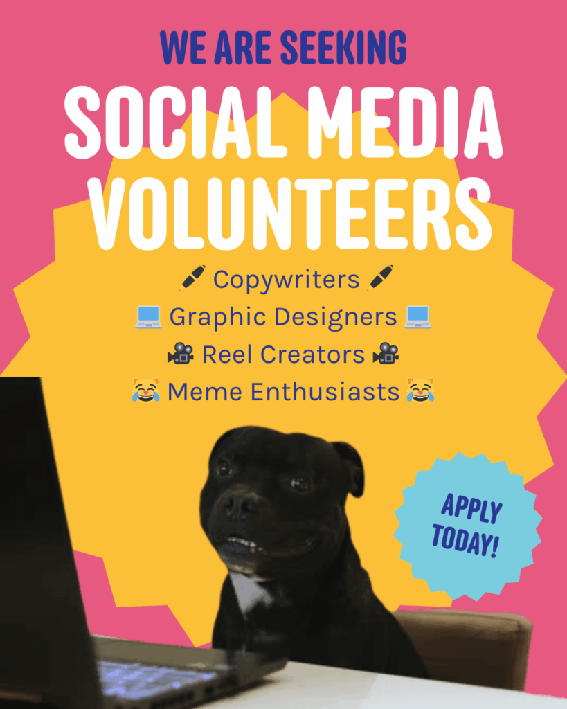 Want to help animals in Melbourne? We desperately need volunteers