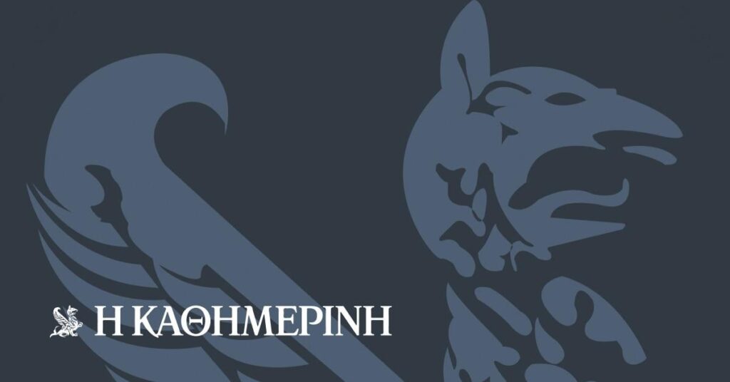 Who supports young researchers?