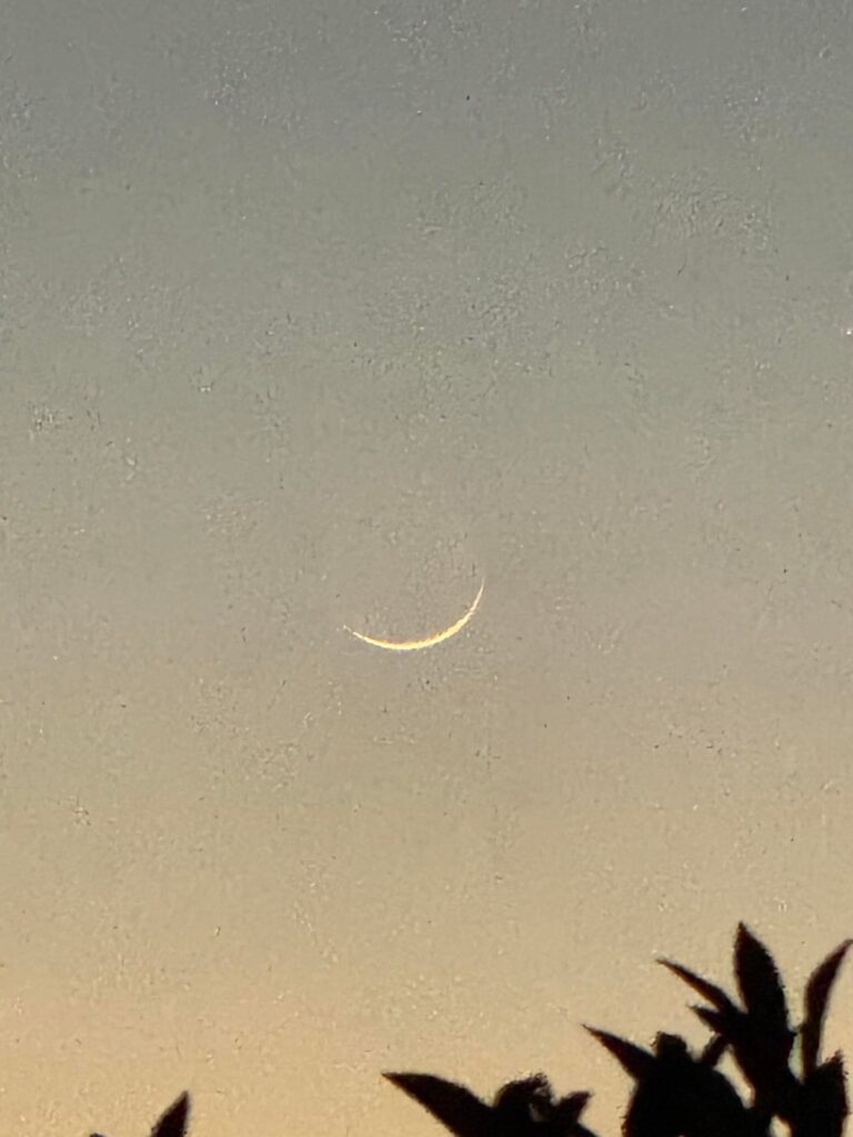 The 1.8% crescent moon rising over Melbourne this morning at 6:57am.
