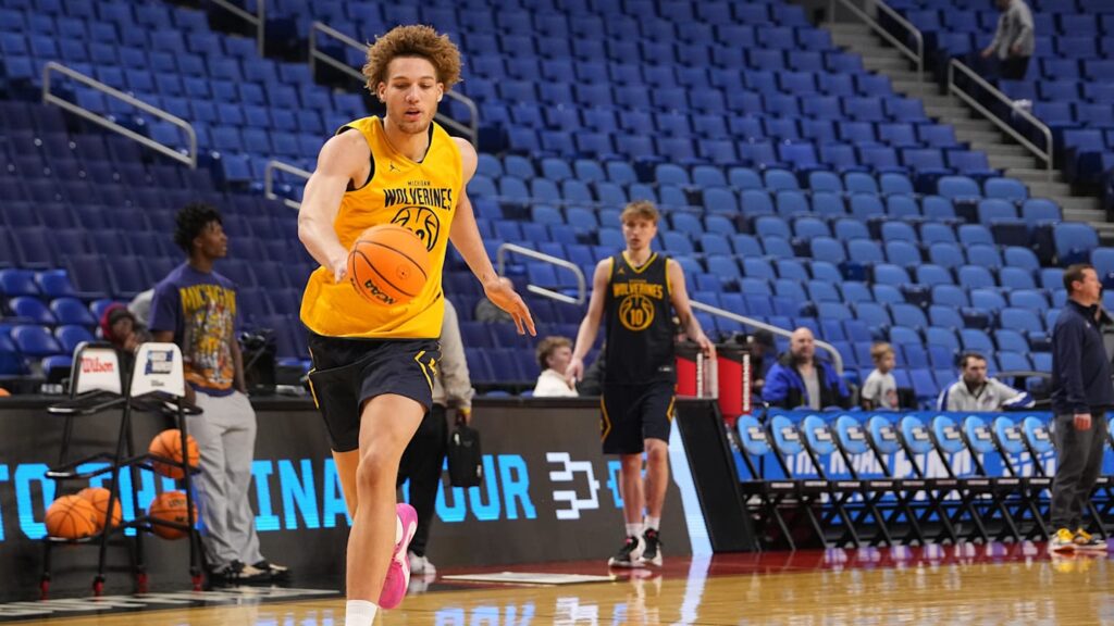 Gophers Eye Michigan Transfer Center from Germany