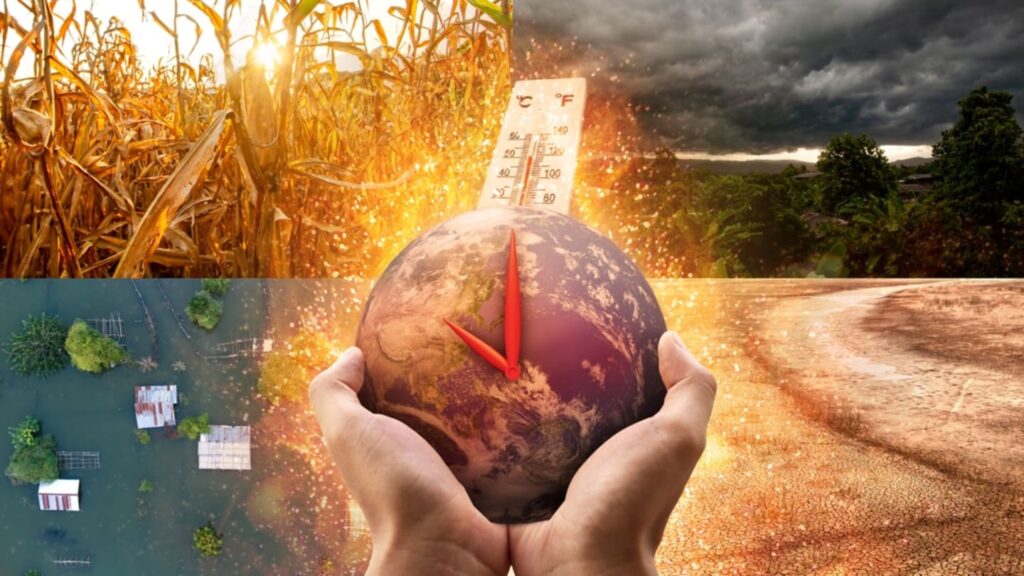 Solar panels and wind turbines in a renewable energy park