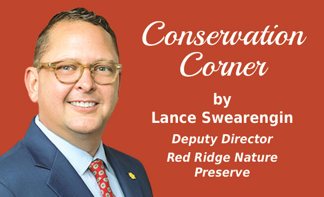 Guest Column: Trees are keys to environmental protection