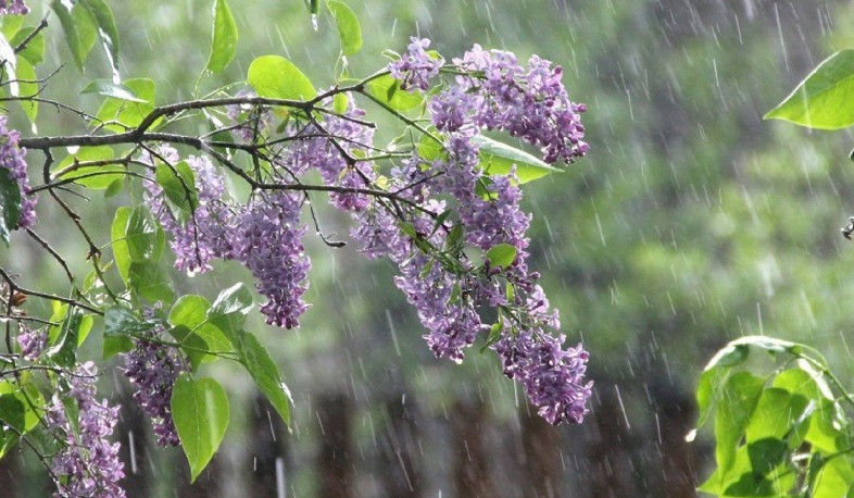 Precipitation is expected in some regions