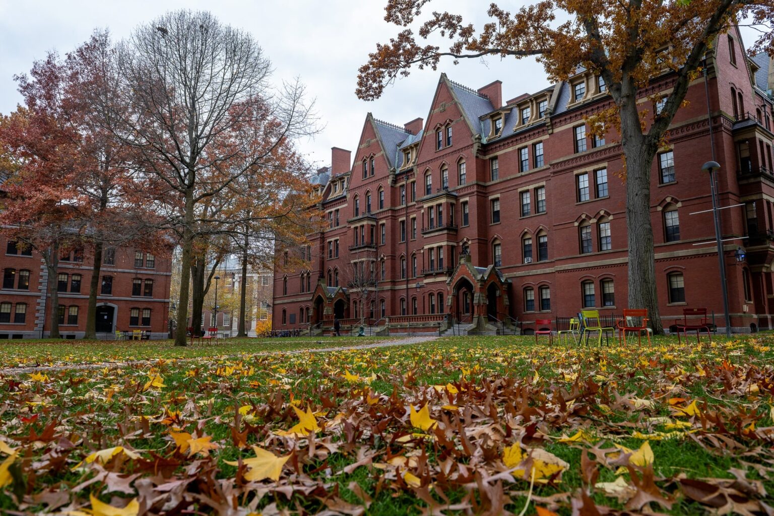 Harvard to Launch New ‘Energy, Climate, and Environment’ Concentration | News