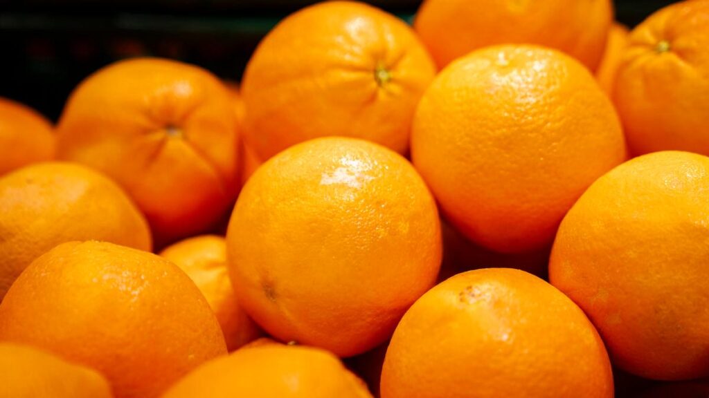 Sweden halves the VAT on all foodstuffs – to the great concern of Danish merchants