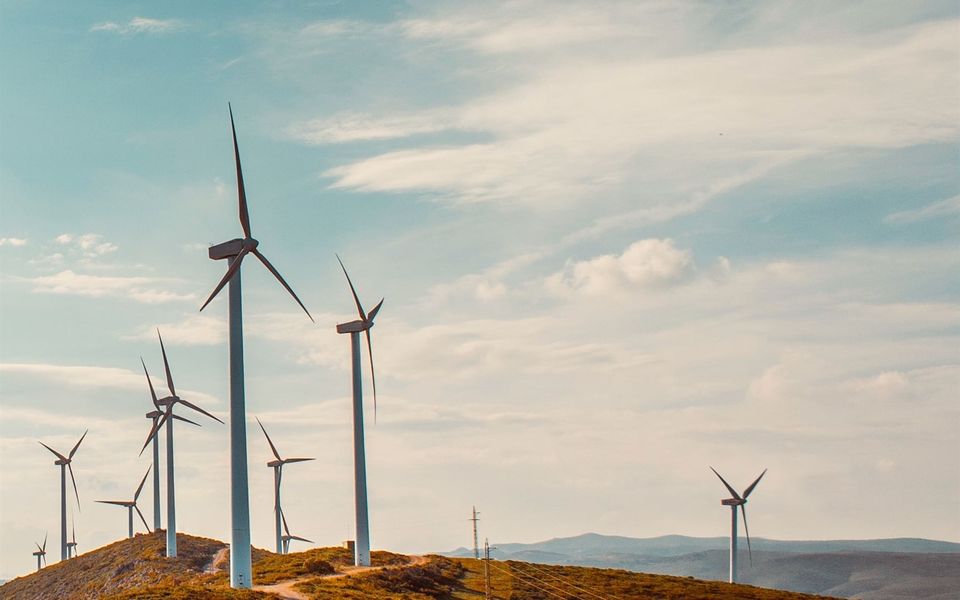 Eco groups warn energy bill opens Pandora’s box