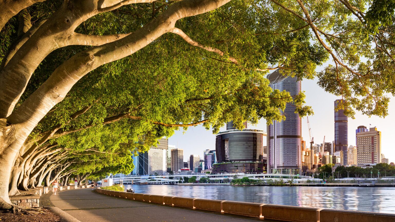 Morning Sunshine at South Bank