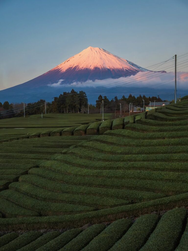 Mount Fuji from 4 different angles