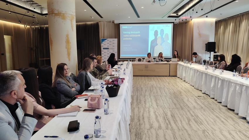 OSCE Boosts Inclusive, Gender-Focused Governance in Montenegro