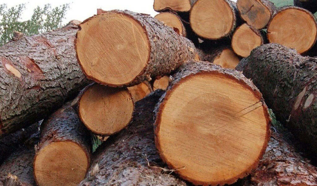 Moldova to create wood industry standards committee