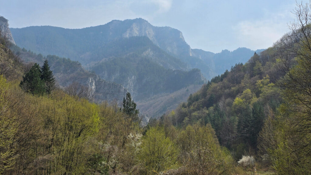 After morning fog, sunshine will appear, occasional rain expected in the south