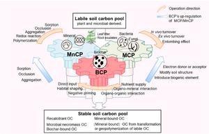 Harnessing biochar to supercharge soil carbon storage for climate action