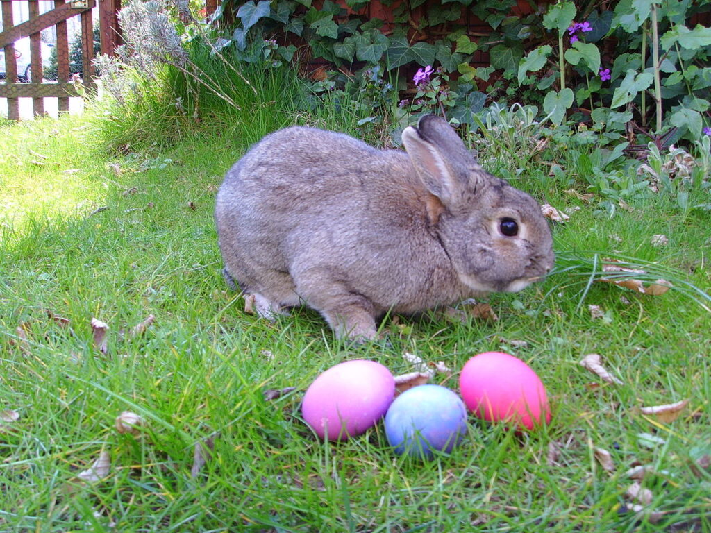 Easter 2026 Opening Hours In Iceland Easter 2026 Opening Hours In Iceland