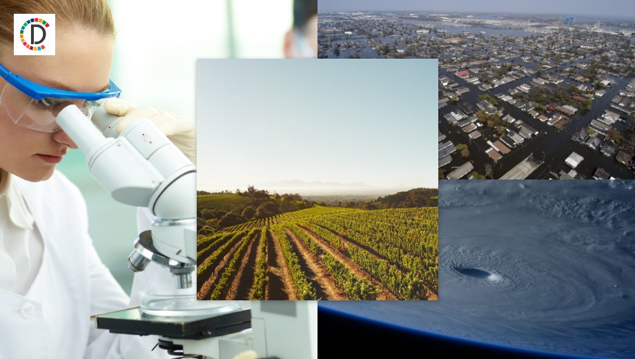 Beneath the Surface: The Underwater Resilience of Bumblebee Queens