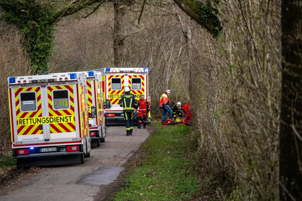 Three people, including an infant, died in Germany after a tree fell on them Photo