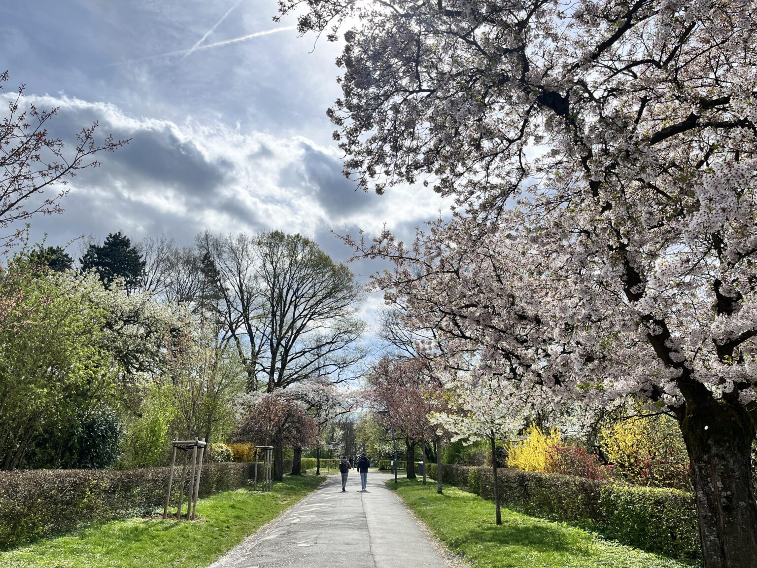 Frankfurt is Beautiful!