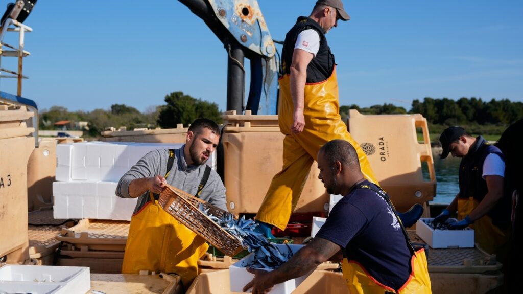 Croatian fishermen feel the strain after Iran war ramps up fuel prices