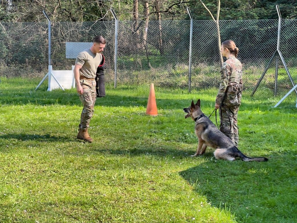 K9 military working dog teams prove their worth at USAG Italy | Article