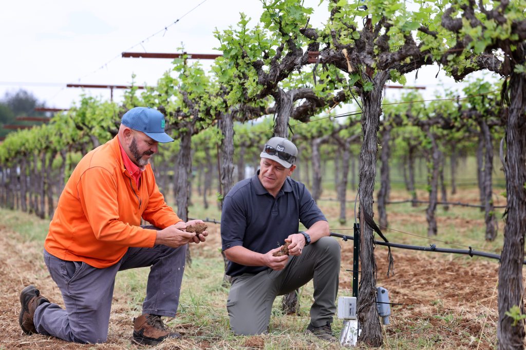 While new tech opens opportunities, AI builds pressure on ‘mom and pop’ wineries