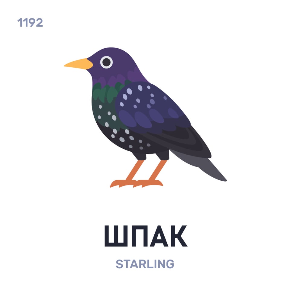 Belarusian words - Week 171