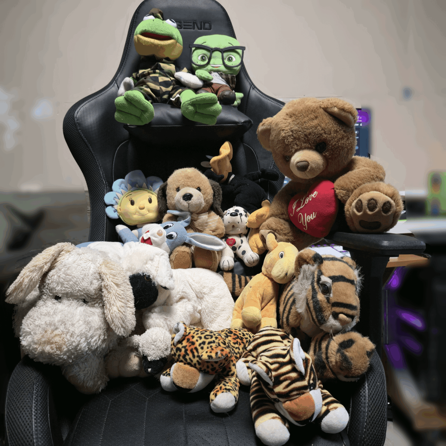 I found some of my childhood stuffed animals hahaha