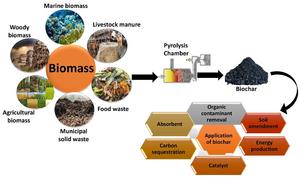 Biochar emerges as a powerful carbon-negative solution for climate and environmental restoration