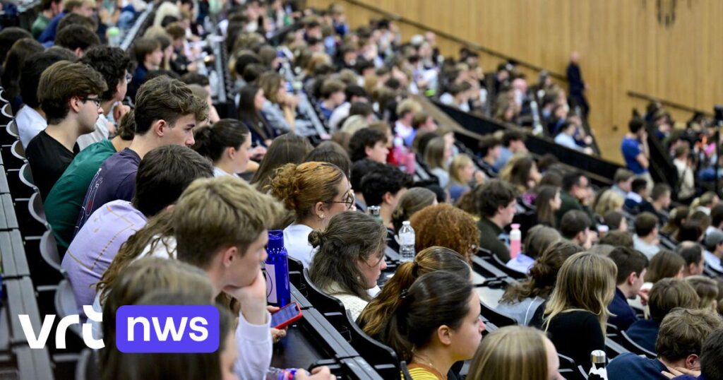 Record number of young people study with a living wage: "Makes a big difference mentally" | VRT NWS News