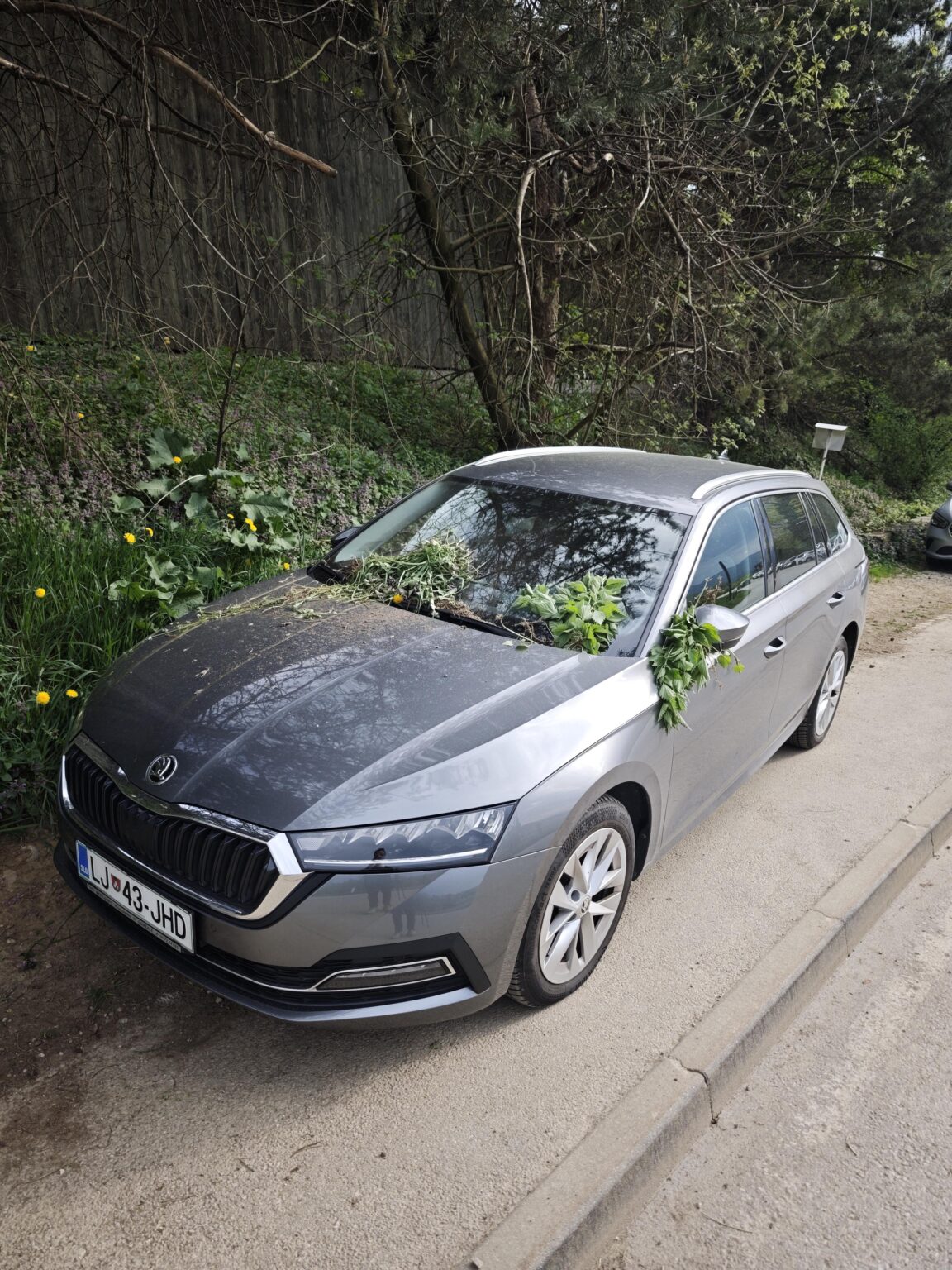 This is what a rural parking ticket looks like