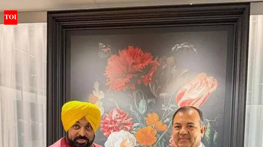CM Mann embarks on Netherlands visit to attract investments | Chandigarh News CM Mann embarks on Netherlands visit to attract investments | Chandigarh News