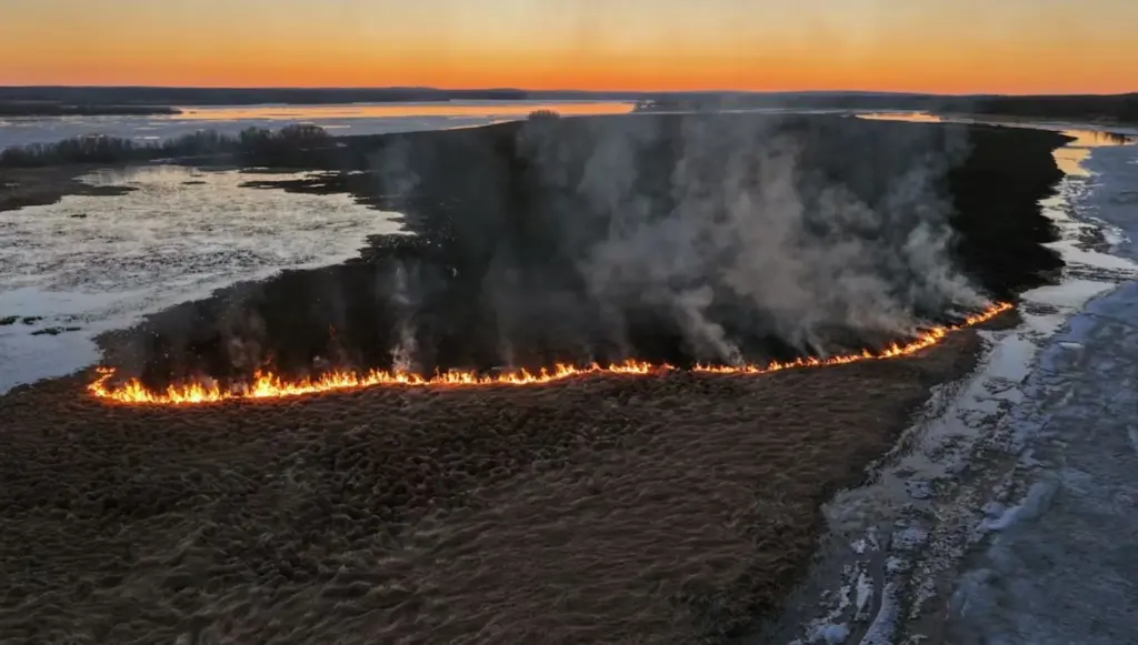 In Finland, an island on the Tornionjoki River completely burned down; it was decided not to extinguish the fire Video
