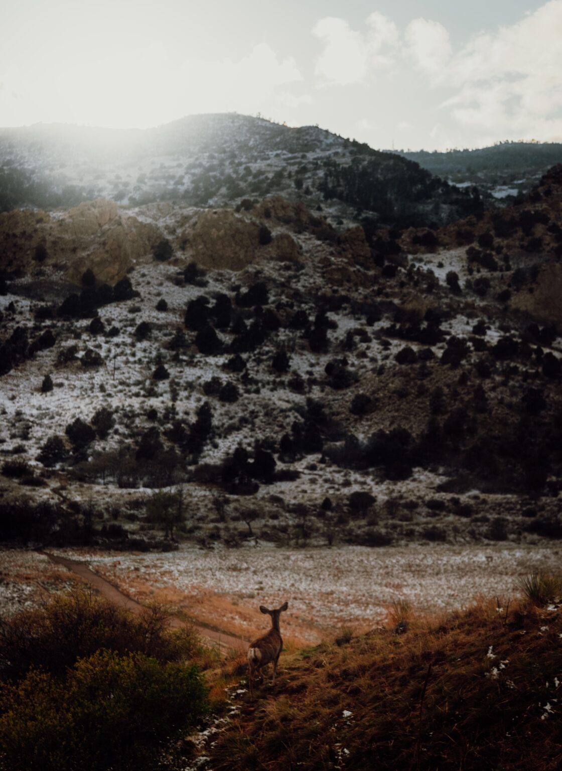 Magical moments in Colorado.